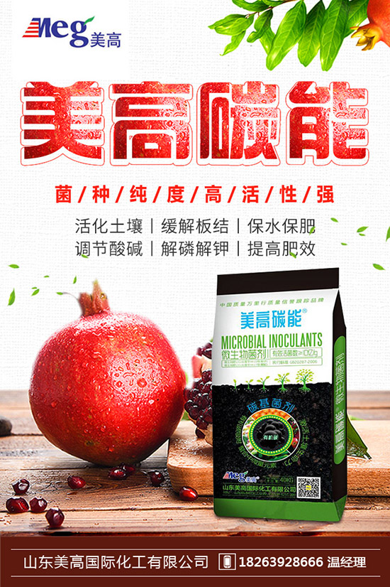     2019��10��17�ս��Շ���(n��i)⛷ʃr�������߄��A(y��)�y�C���u��