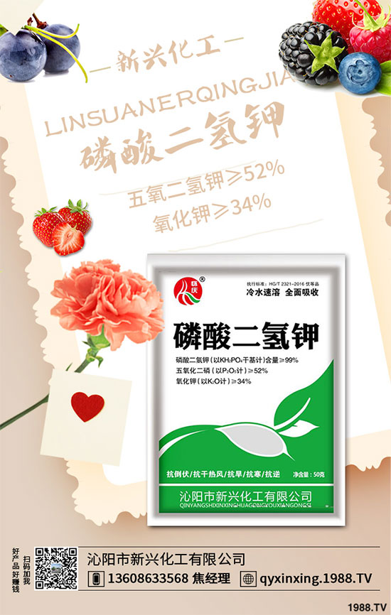 ���[�B��Σ���󣬵���ԓ��ν�Q�����[�B���ϵK���߮a(ch��n)�������g(sh��)��