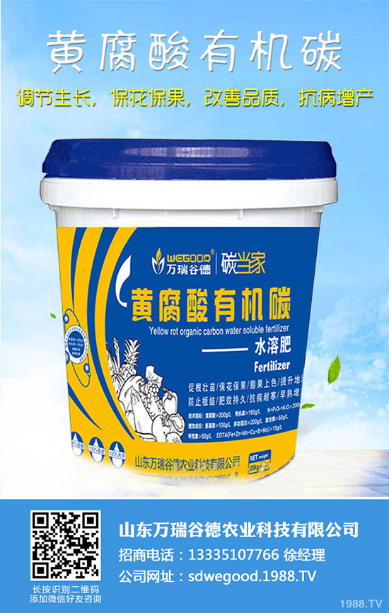 С�ײ�ʲô�r(sh��)��Nֲ��С�ײ˸߮a(ch��n)�Nֲ���g(sh��)