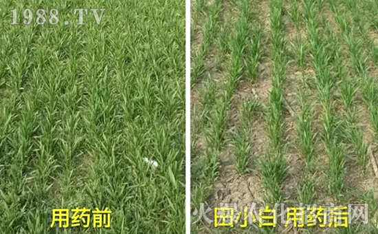 ��(ji��)��(ji��)����η�������ʲôˎ����ô��ˎЧ������