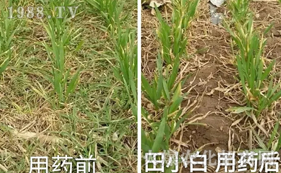 ��(ji��)��(ji��)����η�������ʲôˎ����ô��ˎЧ������