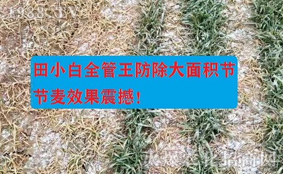 ��(ji��)��(ji��)����η�������ʲôˎ����ô��ˎЧ������