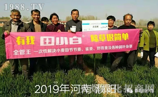 39��(ji��)��(ji��)����η�������ʲôˎ����ô��ˎЧ���ã�