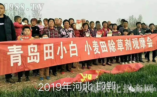 ��(ji��)��(ji��)����η�������ʲôˎ����ô��ˎЧ������