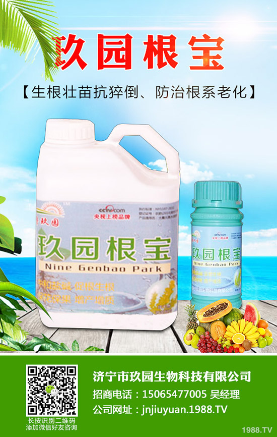 �������x��η����������x��Σ�����l(f��)��Ҏ(gu��)����