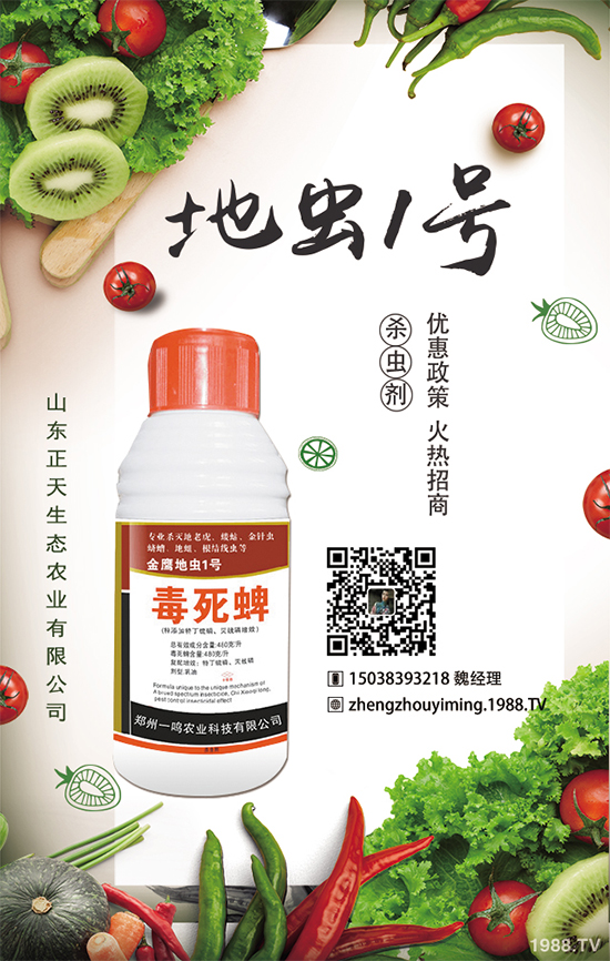 �����}����ηNֲ�������}����Ҫע��ʲô��