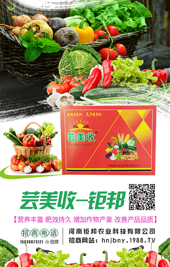 �����}�����L���h(hu��n)���l��Ҫ���������}����ôʩ�ʣ�