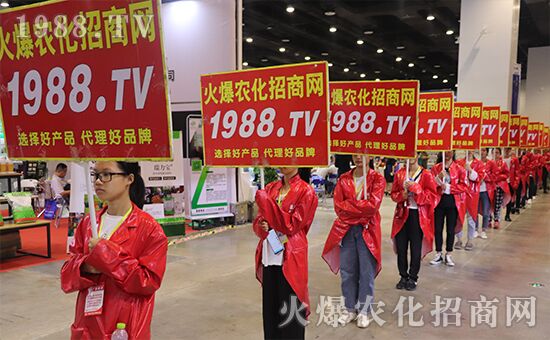 ǧ�̅R������Ʒ�Ƽ�|2019�����r(n��ng)����ʢ���_Ļ��