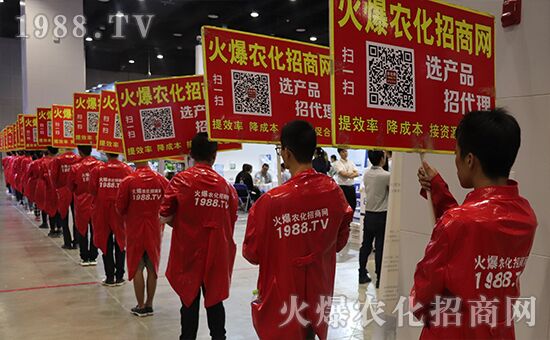 ǧ�̅R������Ʒ�Ƽ�|2019�����r(n��ng)����ʢ���_Ļ��