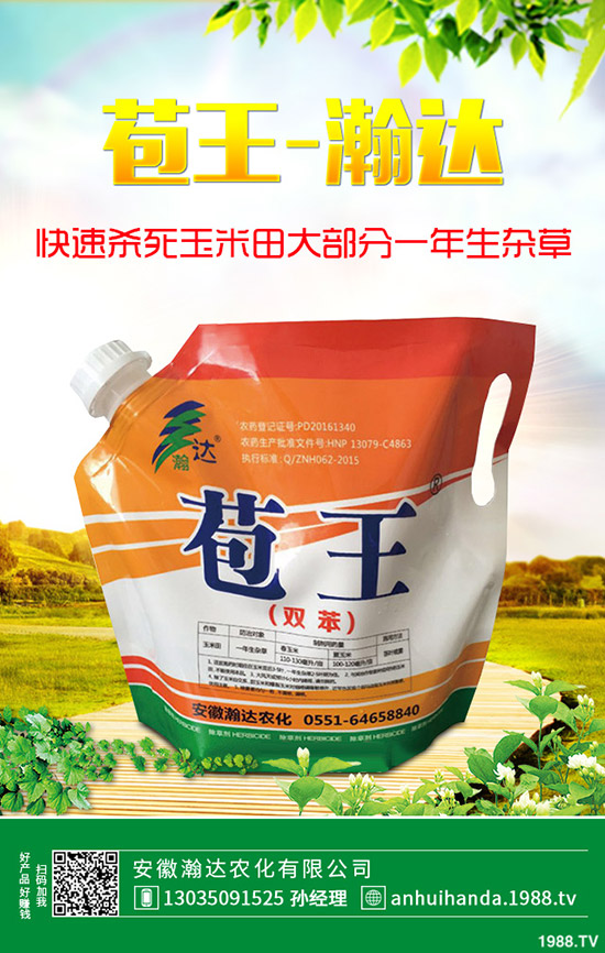 ʯ骻���ô�Nֲ��ʯ骻����B(y��ng)ֳ������