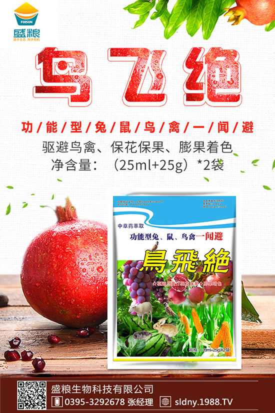 �������t������ڷ����������t���ڷ۷�������Щ��