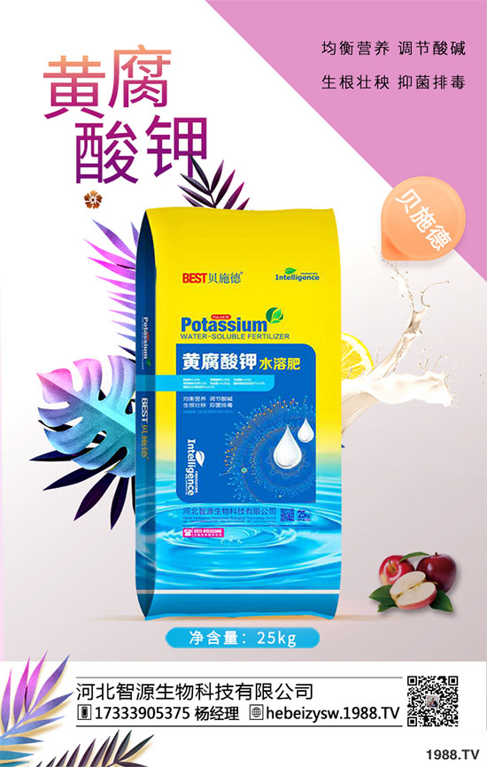 ����ը���ӷNֲ�����¹����༼�g(sh��)��