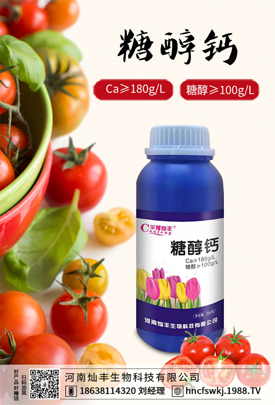 ���{(l��n)���ݲ����u������ԓ��η��������{(l��n)���ݲ����δ�ʩ