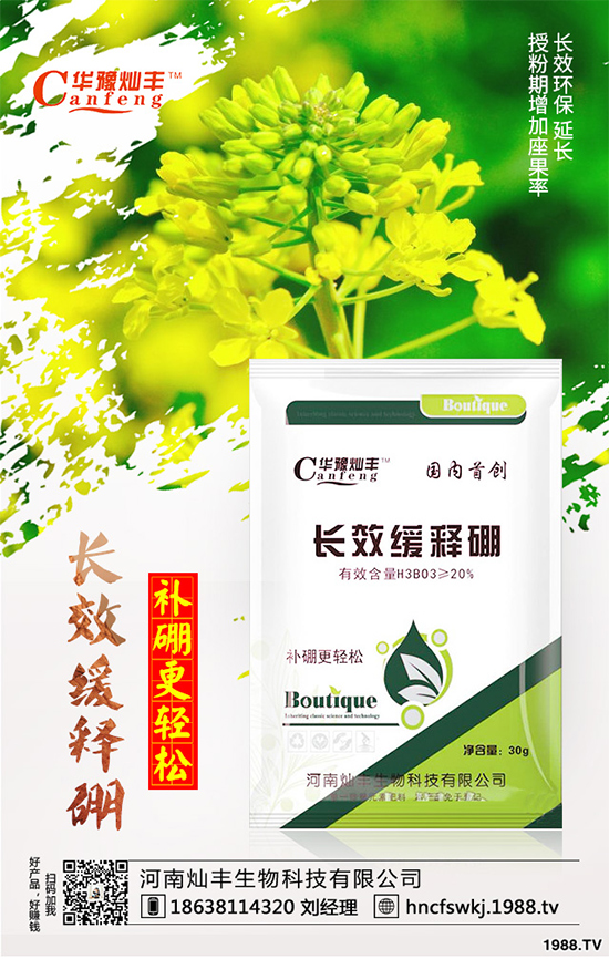 ���{(l��n)���ݲ����u������ԓ��η��������{(l��n)���ݲ����δ�ʩ