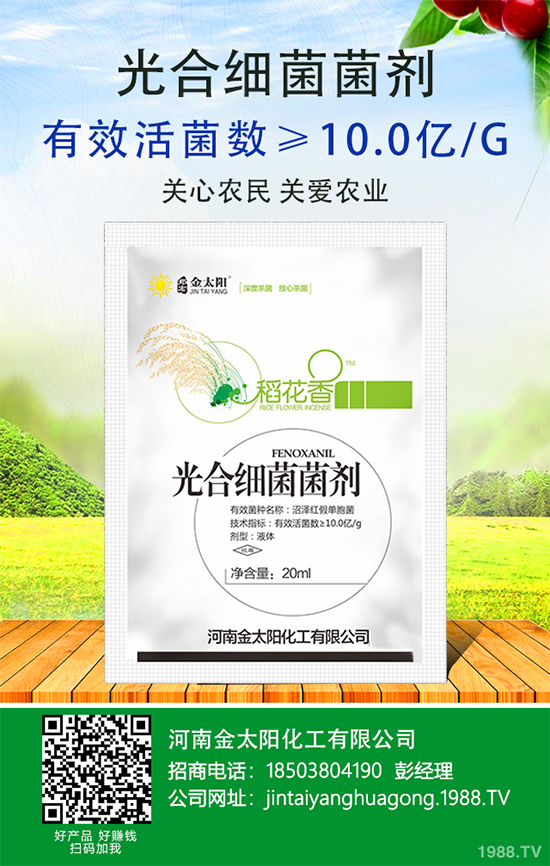 ����������ԭ�����������������k����