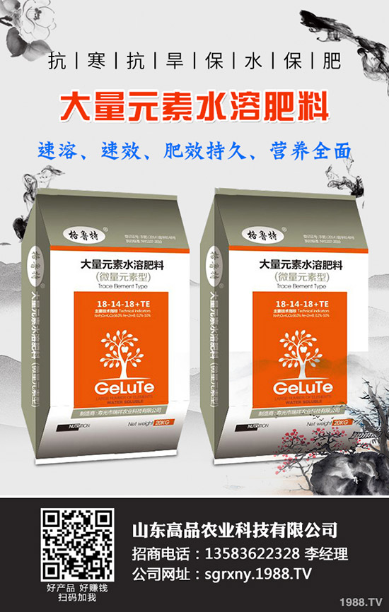 2019��11��12�ձ���������(n��i)⛷������߄��A�y��