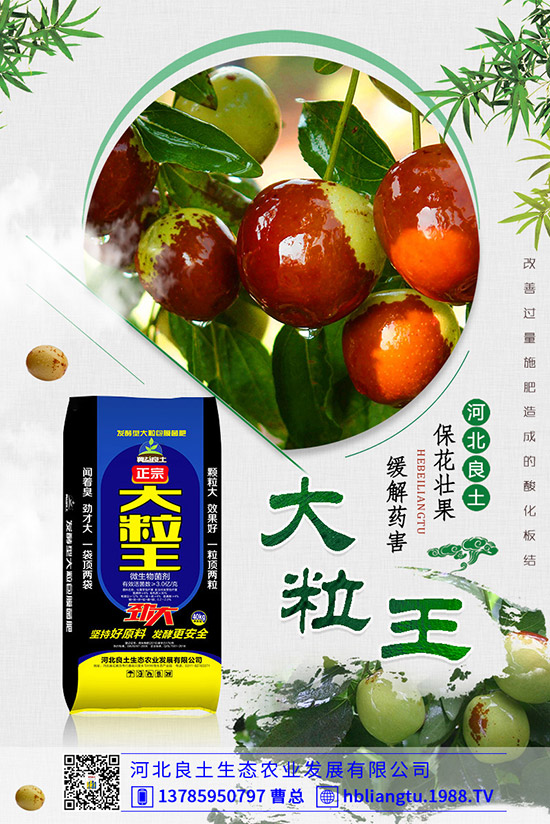 ����仨���ԭ������Щ�������������������