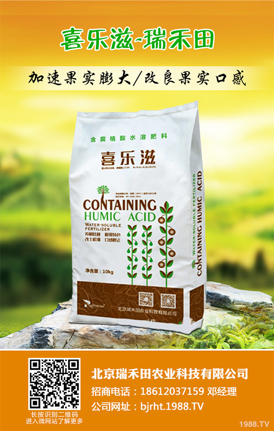 2019��11��12�ս��ո������؏S�҈�r�^�m(x��)�µ������غ����A(y��)�y��