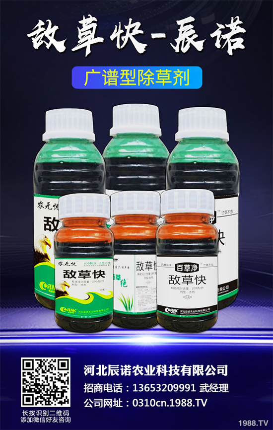 �p���ǲݰ�