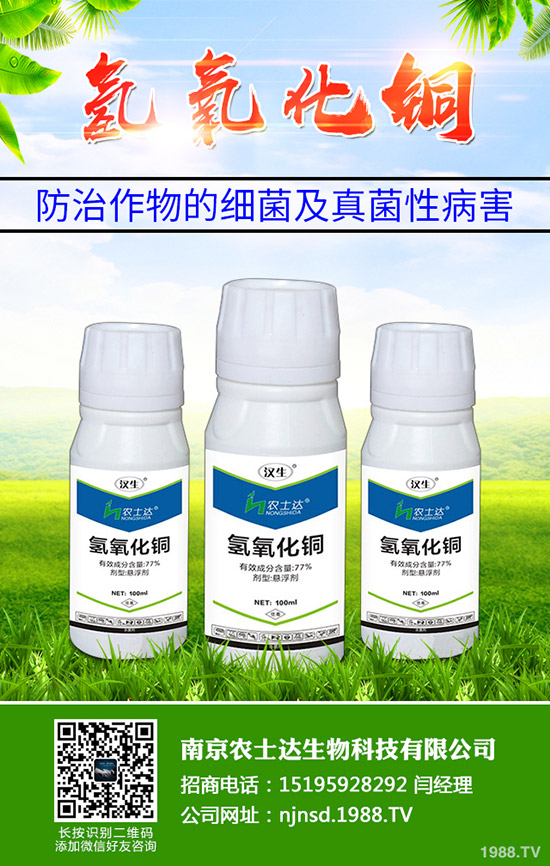 �J����ԓ��ô�������J���ҷNֲ�����缼�g����Щ��