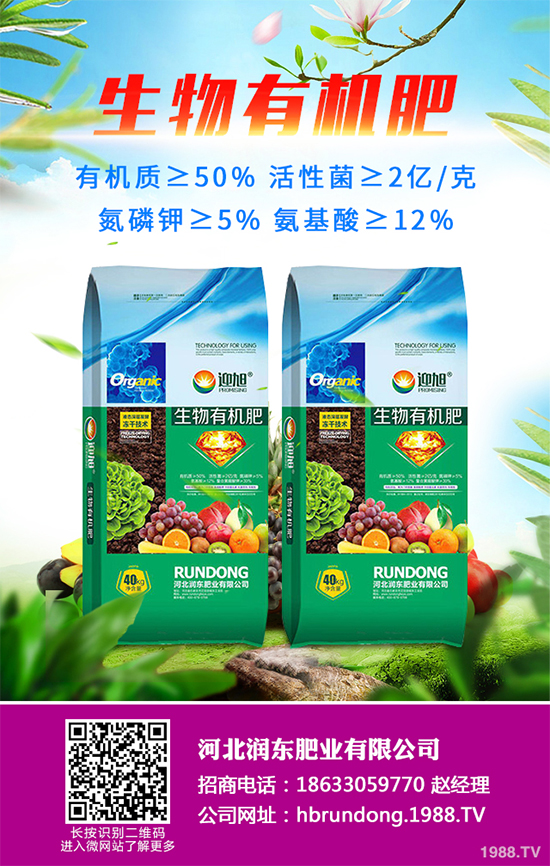 ��ζ��ԓ��ô��������ζ������Щ��̎�������������