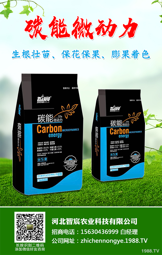 ���������߲˷Nֲԓע��ʲô����ӛ�e�M(j��n)�@�����`�^(q��)