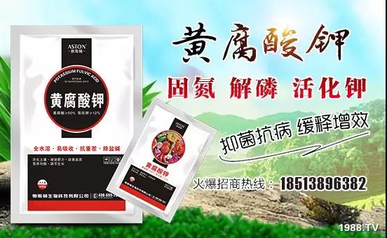 �VԴ�S����⛡�����Ʒ�ʣ�1����=8���ЙC(j��)�����½�Դ�^ֱ�l(f��)������