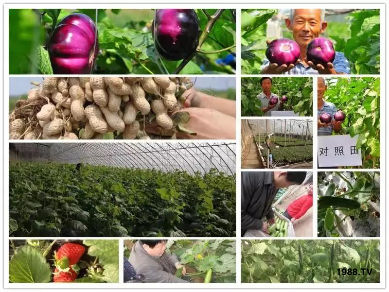 �VԴ�S����⛡�����Ʒ����1����=8���ЙC(j��)�����½�Դ�^ֱ�l(f��)������