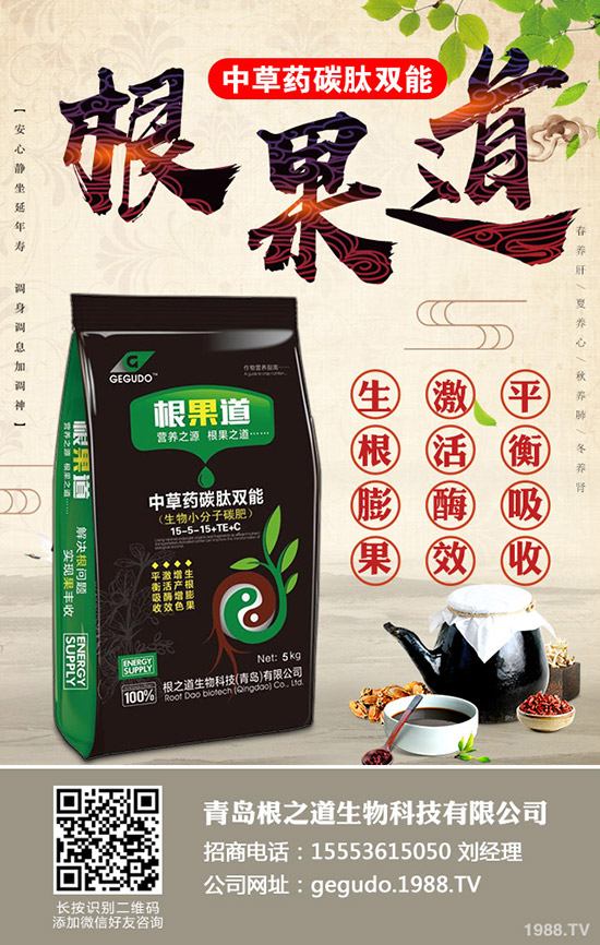     ��(gu��)��(n��i)���؃r(ji��)���(hu��)�q����2019��11��19�ս��ո������³��S��(b��o)�r(ji��)������