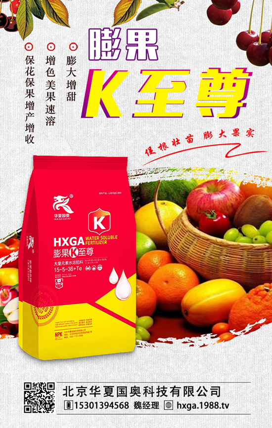 �����A�ć��W�Ƽ����޹�˾