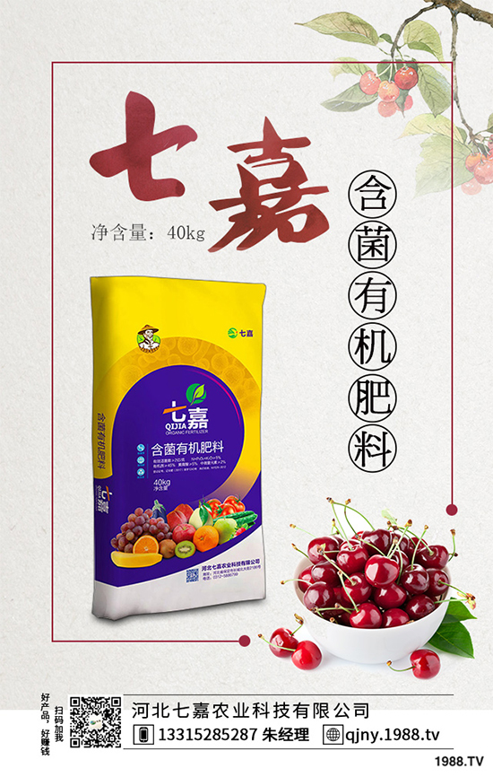 11�·��r(n��ng)�°�������Щ��2019�ﶬ�߲˷Nֲָ��