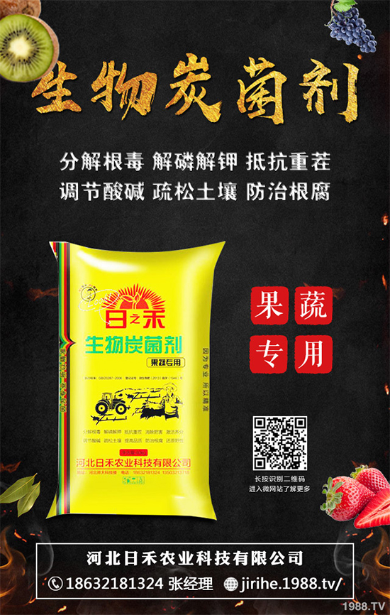 ���[��ֲ�������ˆ������[��ֲ����ֲ���������