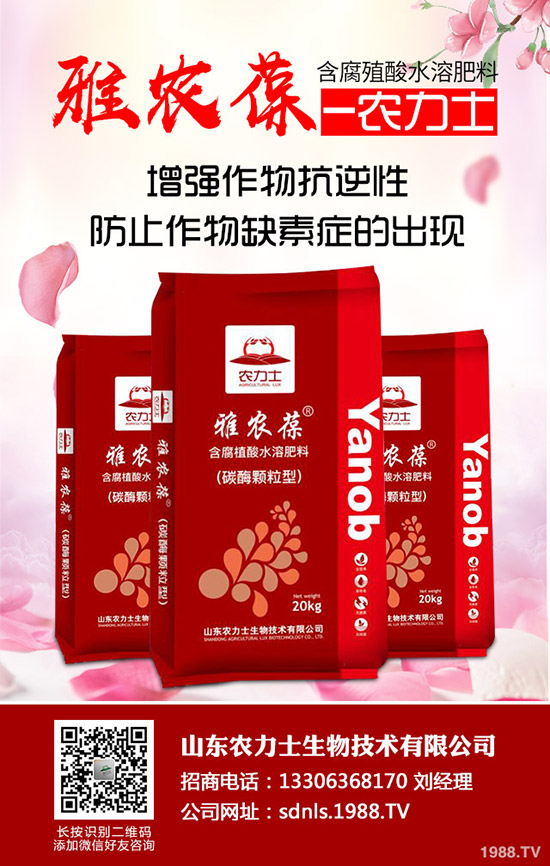     �M(j��n)��11����Ѯ�����������Ј�(ch��ng)��������߄�(sh��)�A(y��)�y(c��)��