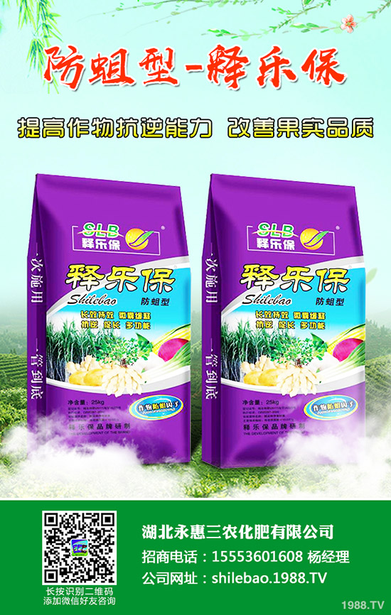     2019��11�µ���������⛷��Ј��r�������߄��A(y��)�y��