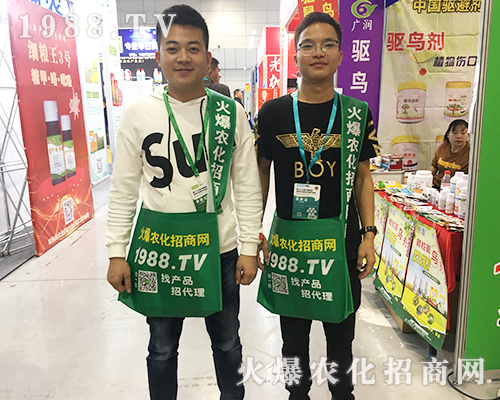     2019ȫ��ֲ�����ו���1988.TV���̟o�ϵK����(sh��)������