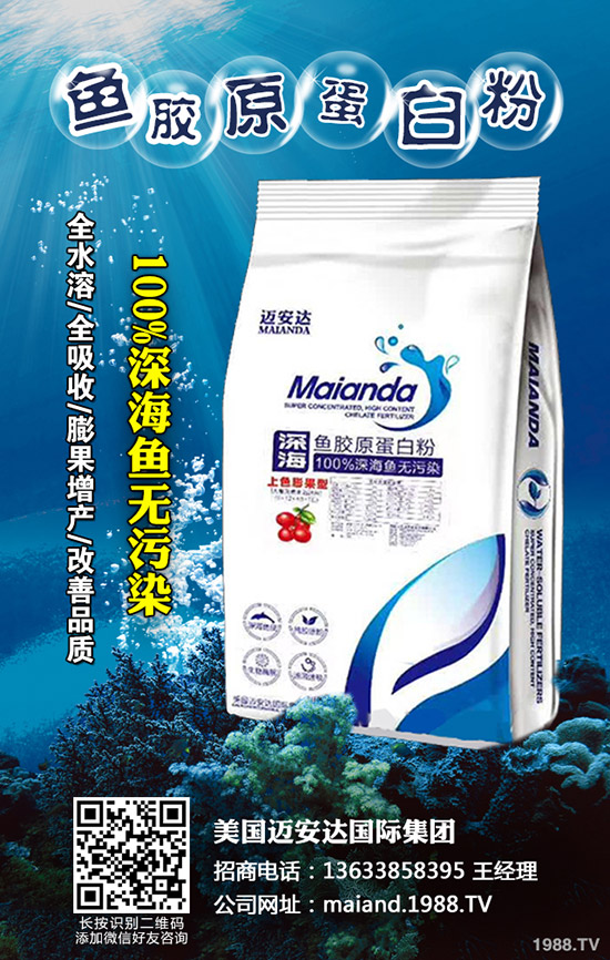     2019��11��25�Շ��a(ch��n)⛷�����p�٣�����⛷������߄ݷ�����