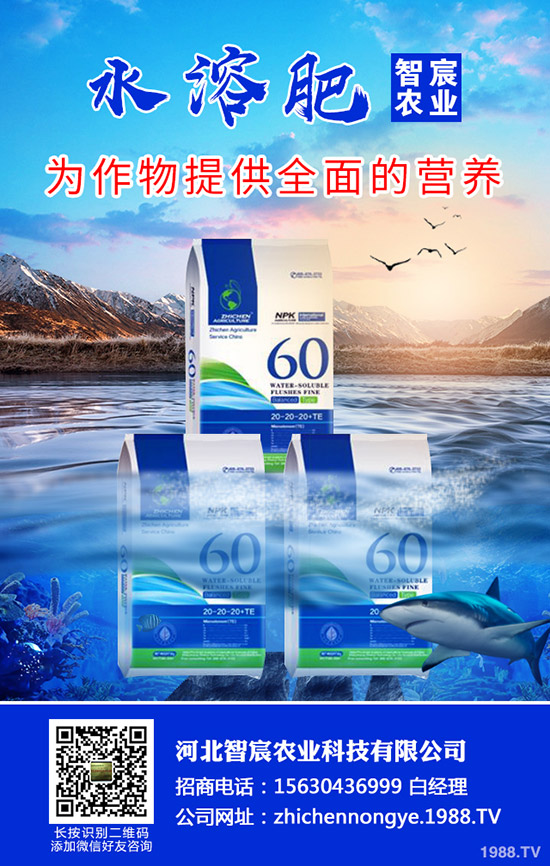 ���ӽ�����ʲôԭ����ɵ������ӽ�����η�����