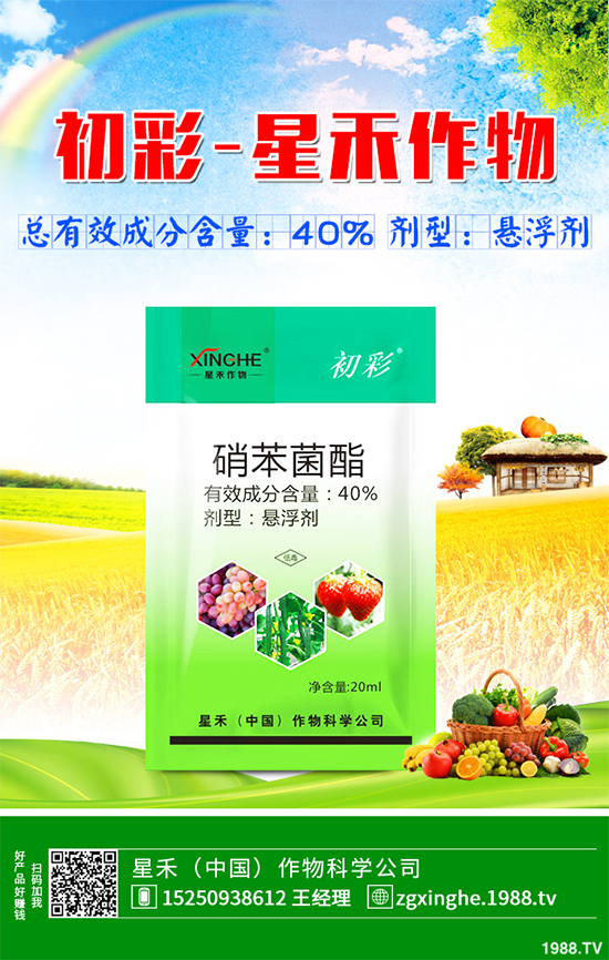     ��䚢�����r��