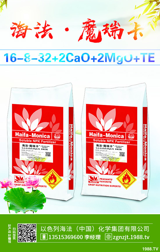     ����������D(zhu��n)��2019��11��27�ո��؅^(q��)�����������S��r