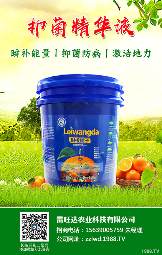 �L�ڵ͜ع������߲��L�ݲ�ԓ��ν�Q�����������a��Ď�헴�ʩ