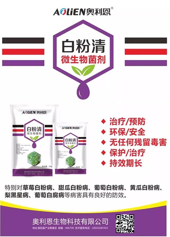 �׷۲�������(f��)�y�p���� ӛס�@��(g��)ˎ����Ч���ΰ׷۲����P����