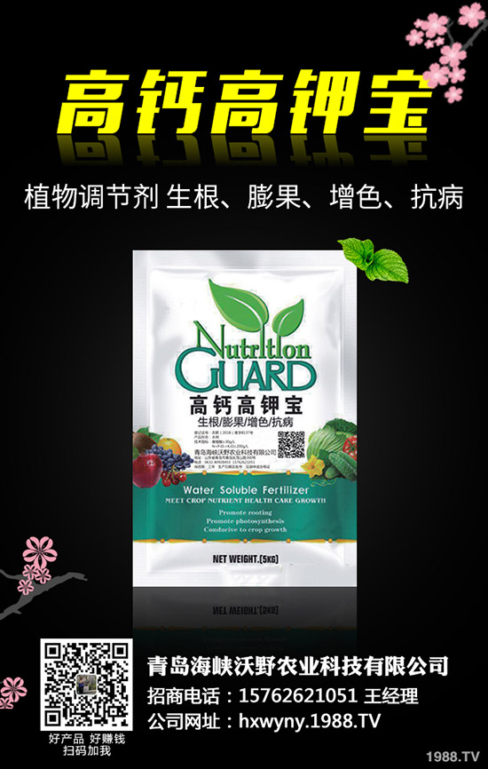 �Ϳ��Nֲǰ��Ҫ��(zh��n)����Щ�������Ϳ��Nֲ��������Щ��