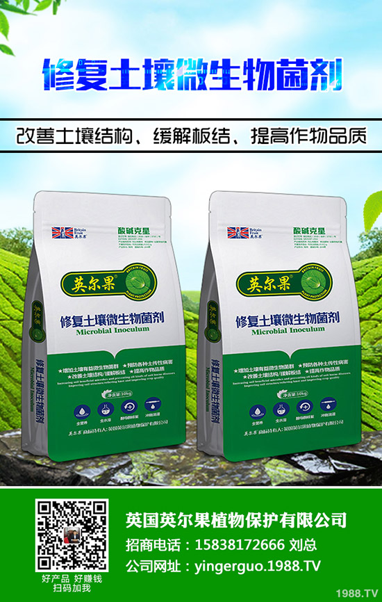     �������������2019��11��11�ո��؅^(q��)�����������S��(b��o)�r(ji��)��