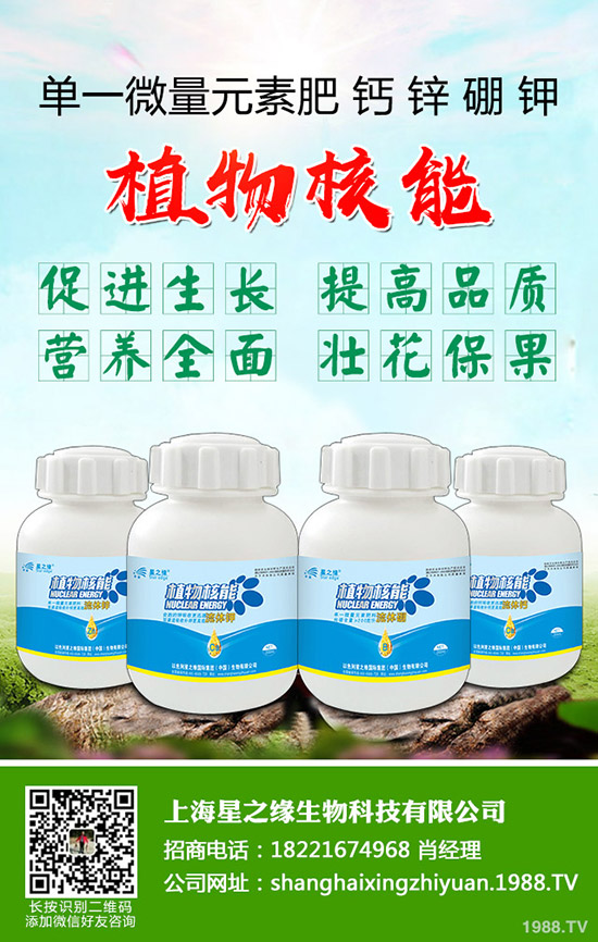 ѿ�����ӷNֲ��ѿ�˷Nֲ���g���˽������