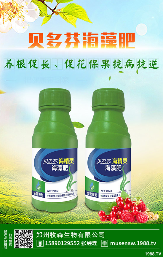 ���E��ʲô�@ô���˚gӭ�����E���Ј�(ch��ng)�������