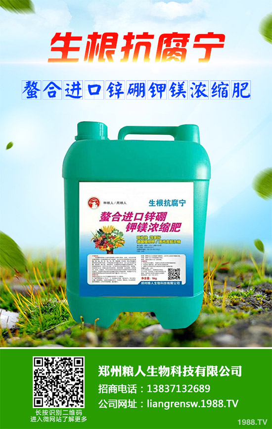 ���E����Щ�I(y��ng)�B(y��ng)�r(ji��)ֵ�����E�ĠI(y��ng)�B(y��ng)�r(ji��)ֵ����Ч����