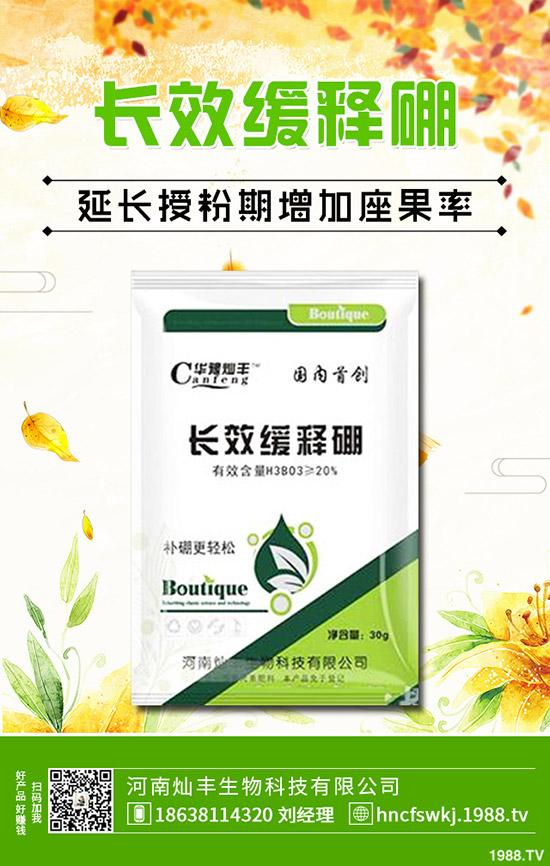 ���L�Nֲ���g����Щ�����L�����g����