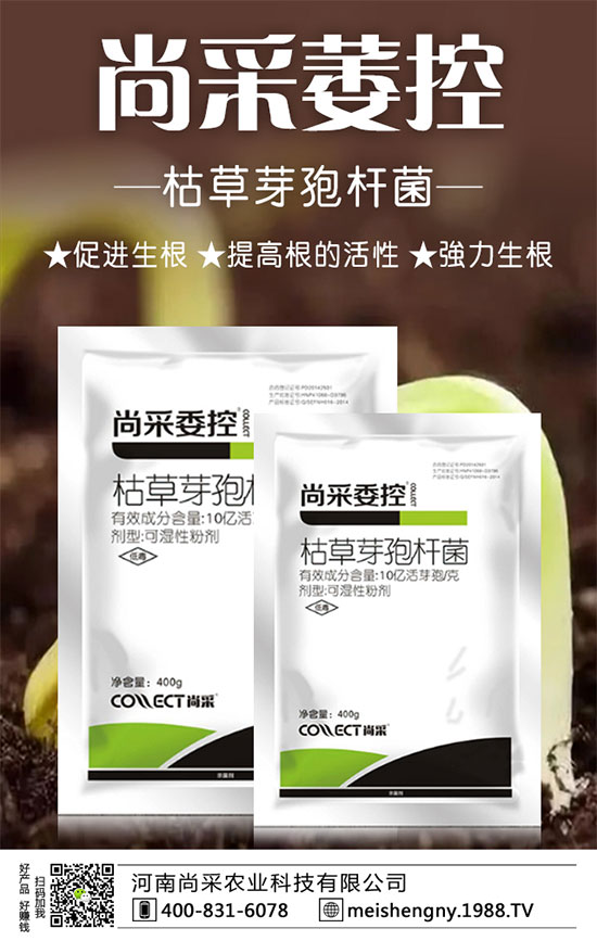 �����ݮ���ɼ����������������ݮʩ��Ҫ�c��