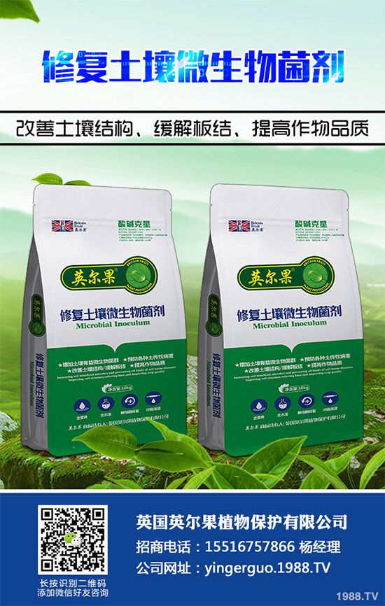 Dimicron�Ƴ��S��������������DimiLO