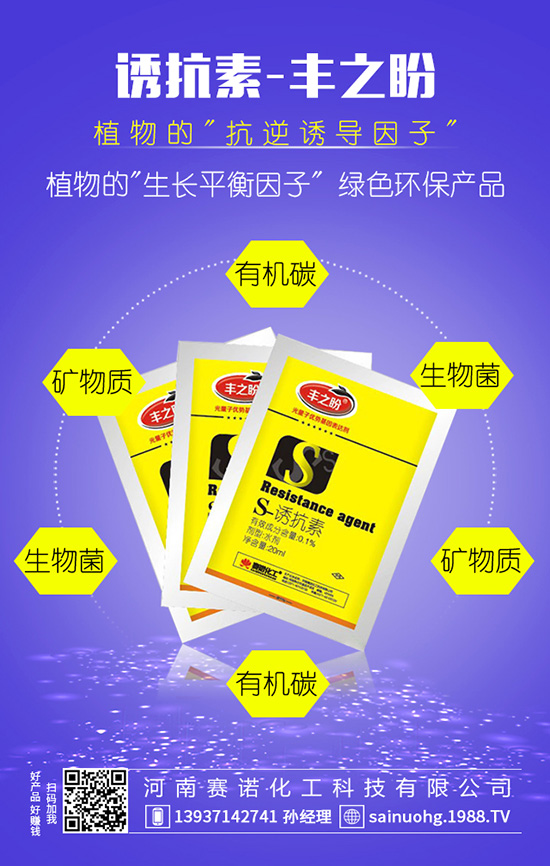 �׷ʡ����p���b�e����e�Ϯ�(d��ng)